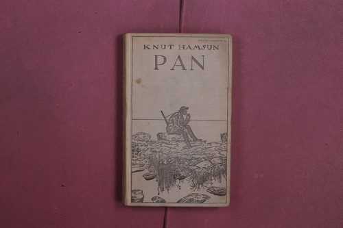 394948 knut hamsun pan - hamsun,